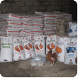 Check out our Chicken Feed!